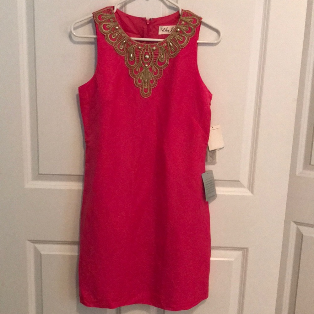Pink linen derby party dress-Eliza J, NWT